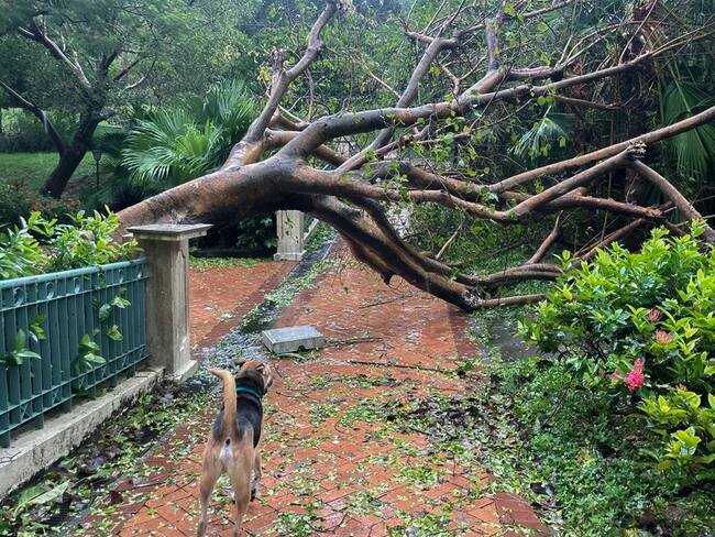 HONG KONG, 02/09/2023.- El supertifón Saola tocó tierra en la provincia suroriental china de Cantón a primera hora del sábado, con fuertes vientos y lluvia dejando un rastro de destrucción e inundaciones en la ciudad de Shenzhen y las vecinas Hong Kong- en la imagen- y Macao que obligó a millones de personas a refugiarse. A pesar de que había amenazado con convertirse en una de las tormentas más devastadoras en azotar Hong Kong en décadas -las autoridades locales izaron la alerta máxima por primera vez en cinco años-, Saola recaló al sur de la antigua colonia británica tras ser degradado de supertifón a tifón severo. -EFE/Mar Sánchez-Cascado