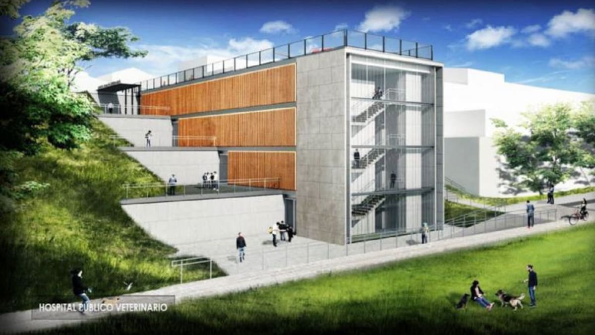 Alcaldía trata de resolver problemas del hospital público veterinario