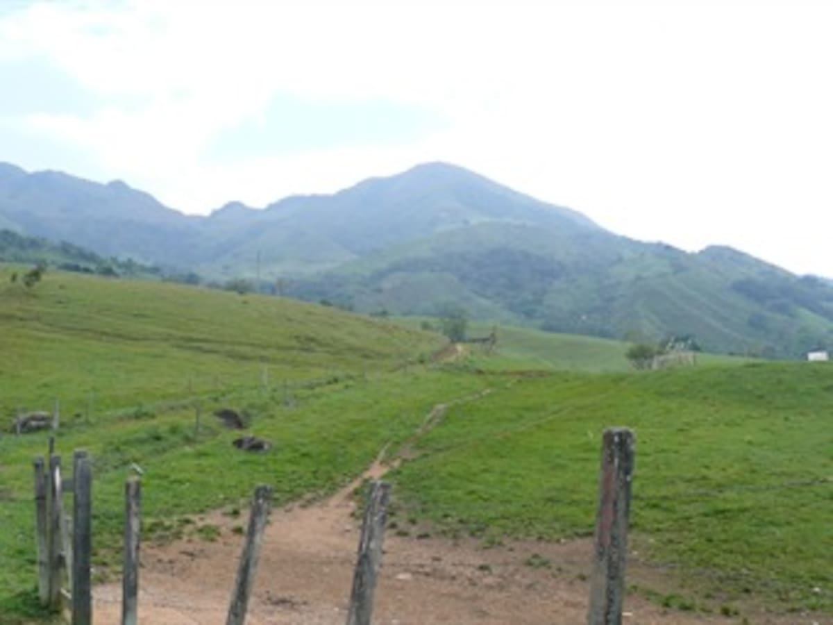 Denuncian presunta negligencia en asesinato del reclamante de tierras en Bello