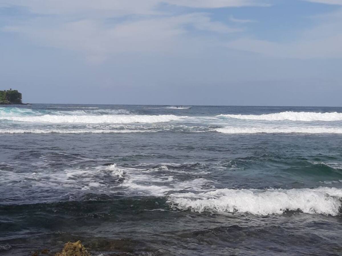 Inicia plan para declarar área protegida la cordillera Beata en la Guajira