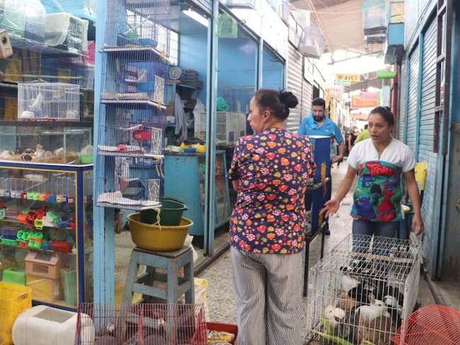 Ponen fin a venta de animales vivos en plaza de mercado del Restrepo
