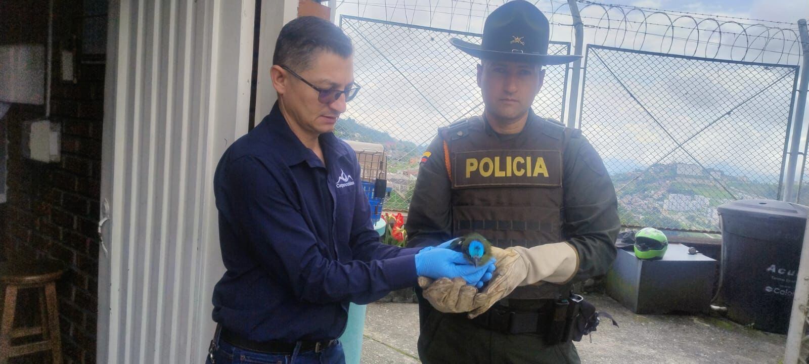 Animales en protección especial