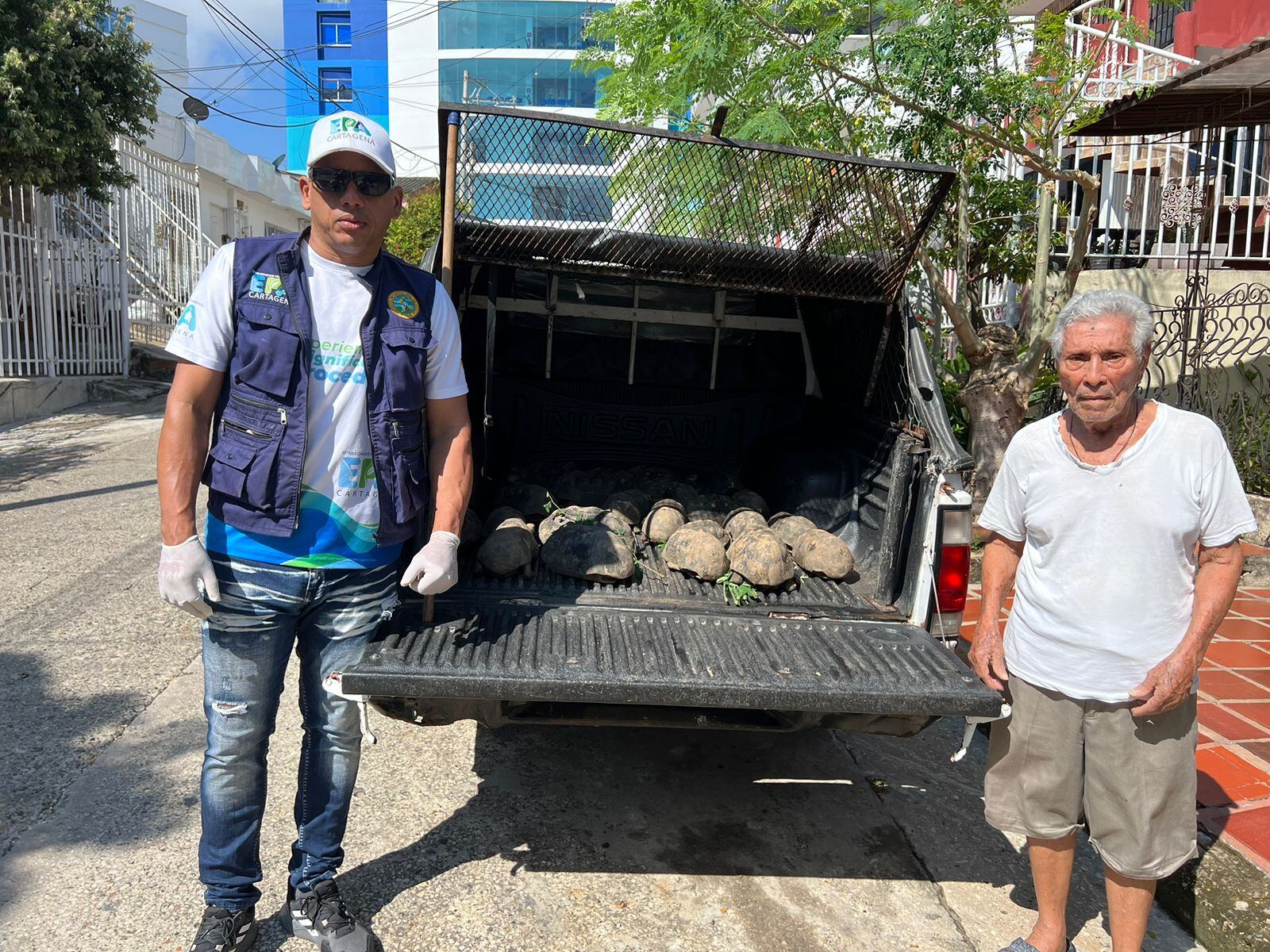 En 2024, EPA Cartagena ha recibido 292 animales silvestres por entrega voluntaria