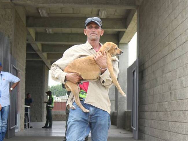 Autoridades trasladaron a albergues a caninos que corrían peligro en Patio Portal de Transcaribe