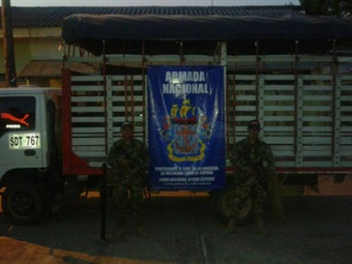 Armada inmoviliza vehículo con semovientes ilegales al Sur de Bolívar