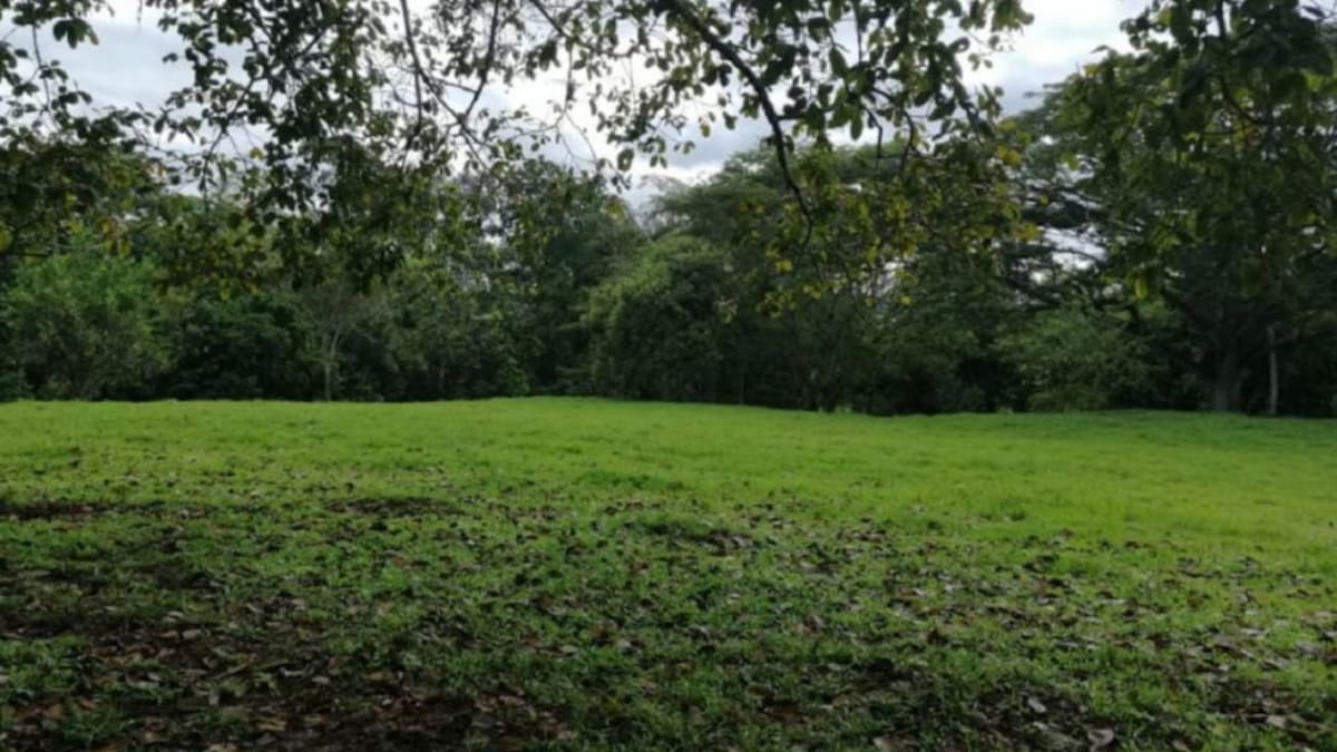 Denuncian en el Magdalena una mafia que está ocupando fincas tradicionales