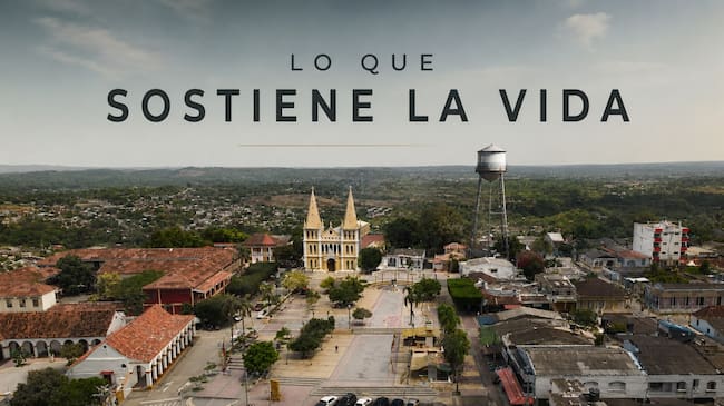 Cortesía