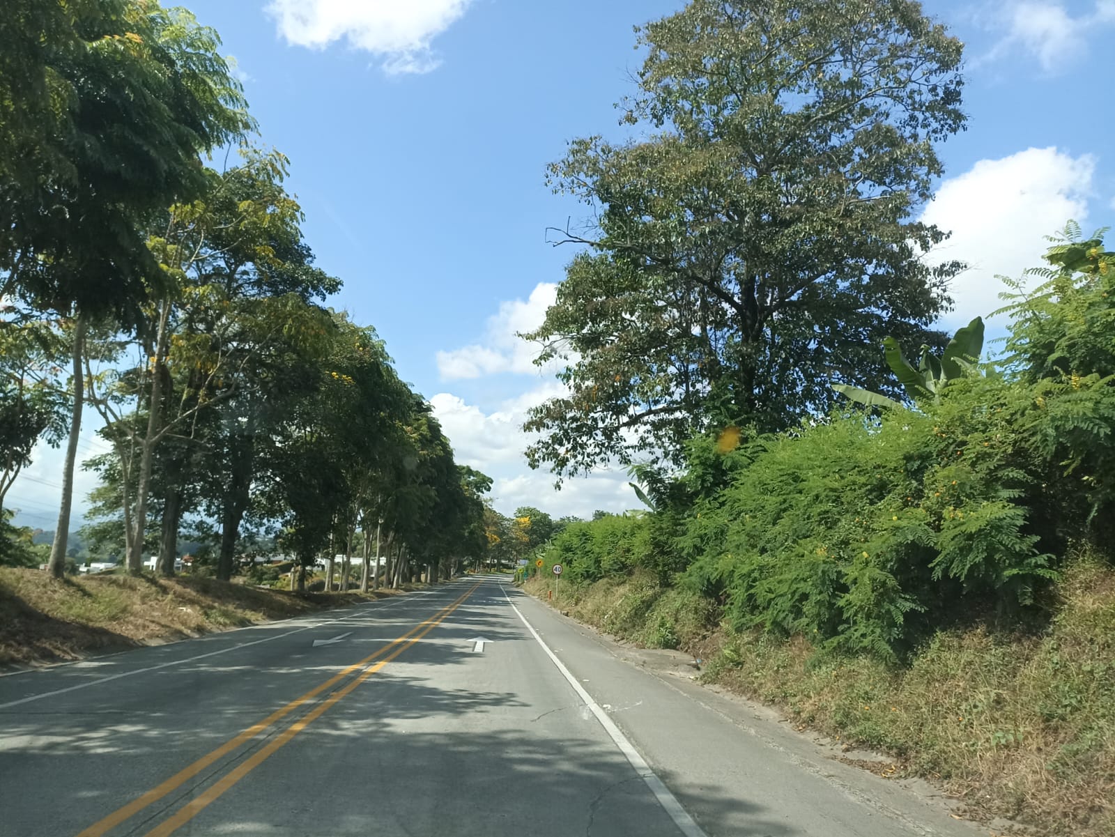 Los hermosos paisajes en las carreteras de Armenia y el Quindío. Foto: Adrián Trejos
