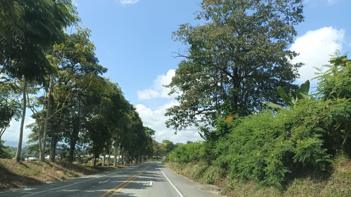 Martes 19 de marzo las noticias más importantes de Armenia y Quindío