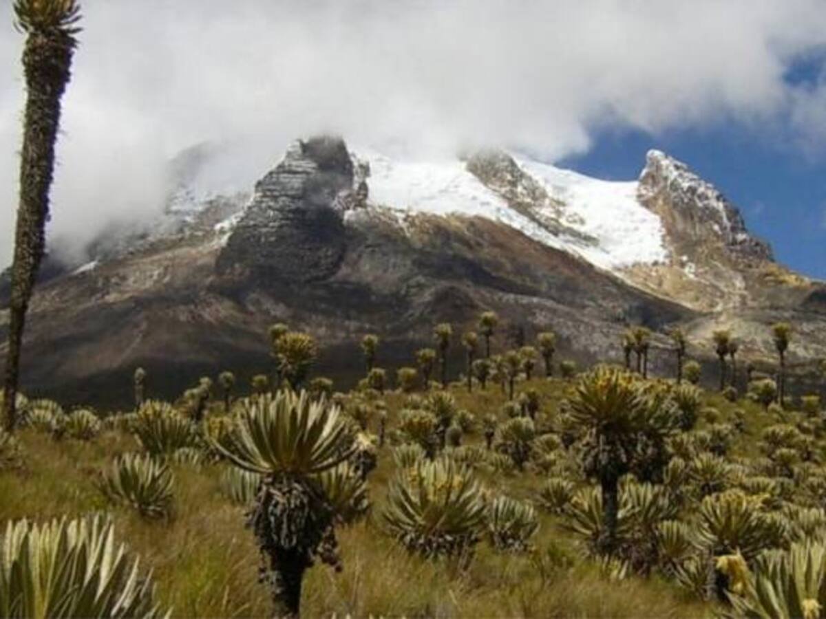 En Quindío establecen medidas para preservar el Parque Nacional Natural de los Nevados