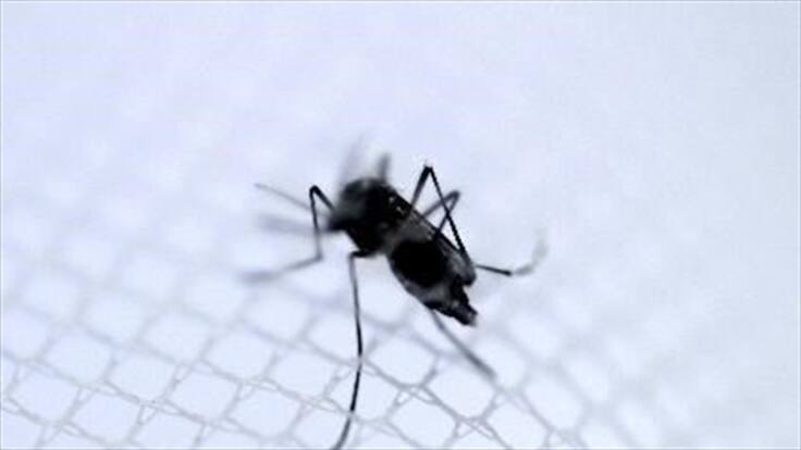 Casos de chikungunya en Colombia ya se aproximan a los 1.700