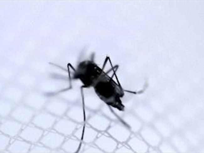 Casos de chikungunya en Colombia ya se aproximan a los 1.700