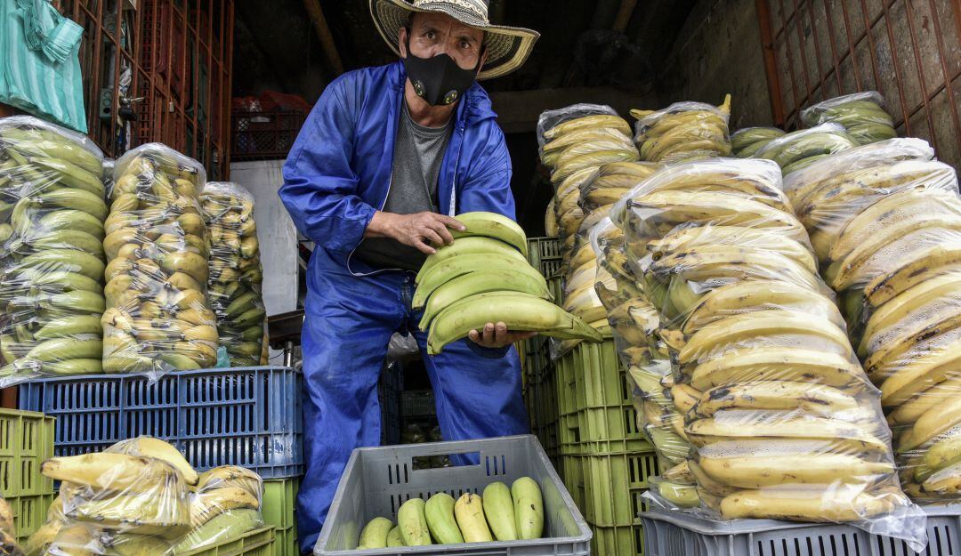 Comercio de plátanos