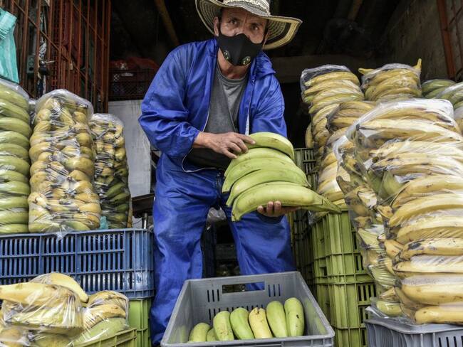Comercio de plátanos