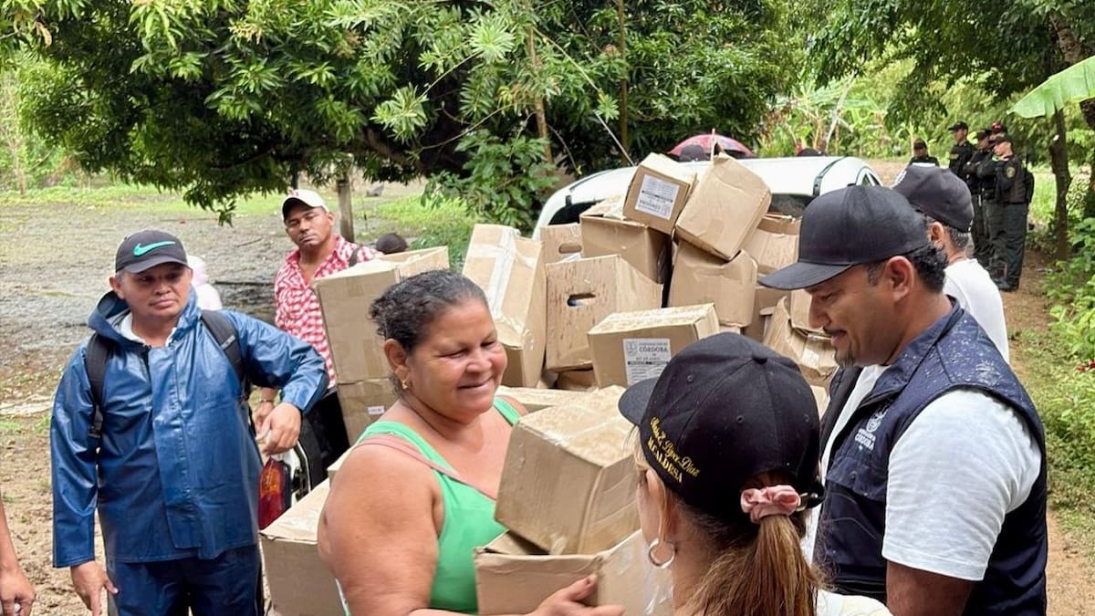 Gobernación de Córdoba y UNGRD movilizan 70 toneladas de papa para damnificados por lluvias