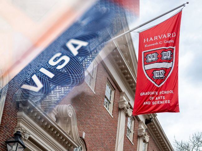 EE. UU. reanuda trámites de visa para estudiantes de Harvard: lo que debe saber