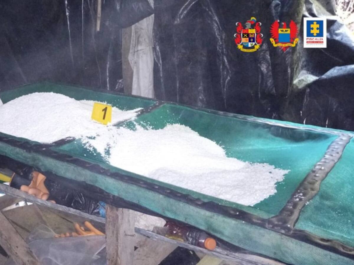 Gobierno reporta la incautación de cocaína más grande del año