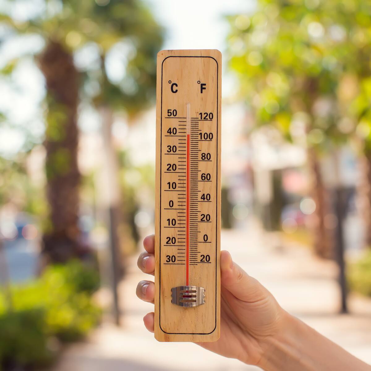 ¿Por qué está haciendo tanto calor en Cúcuta y sus alrededores? Esto se sabe