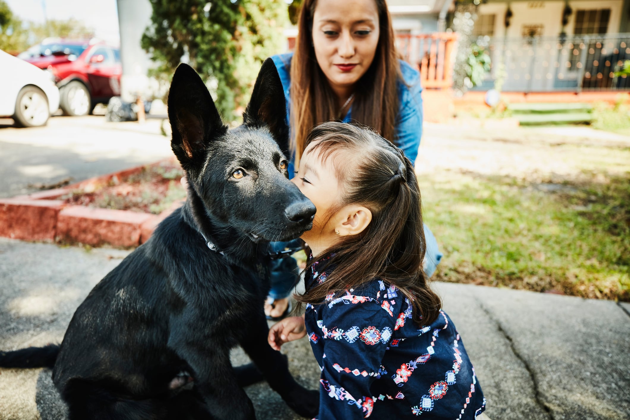 Reconocido centro comercial de Bogotá prepara jornada de adopción de mascotas: fechas y requisitos. Getty Images