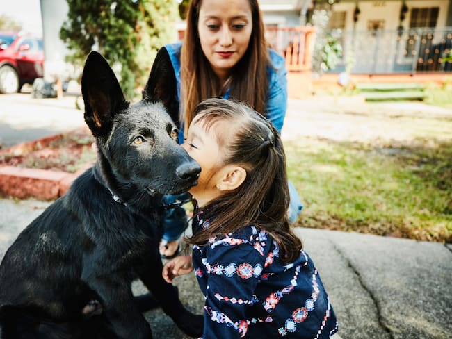 Reconocido centro comercial de Bogotá prepara jornada de adopción de mascotas: fechas y requisitos. Getty Images