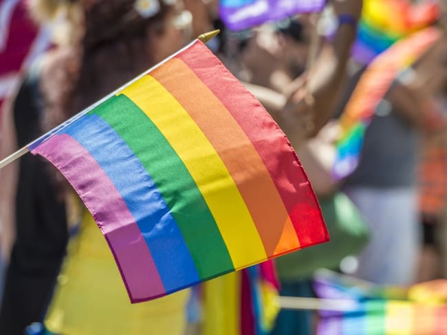 Colectivos políticos piden al Gobierno garantizar derechos LGBT