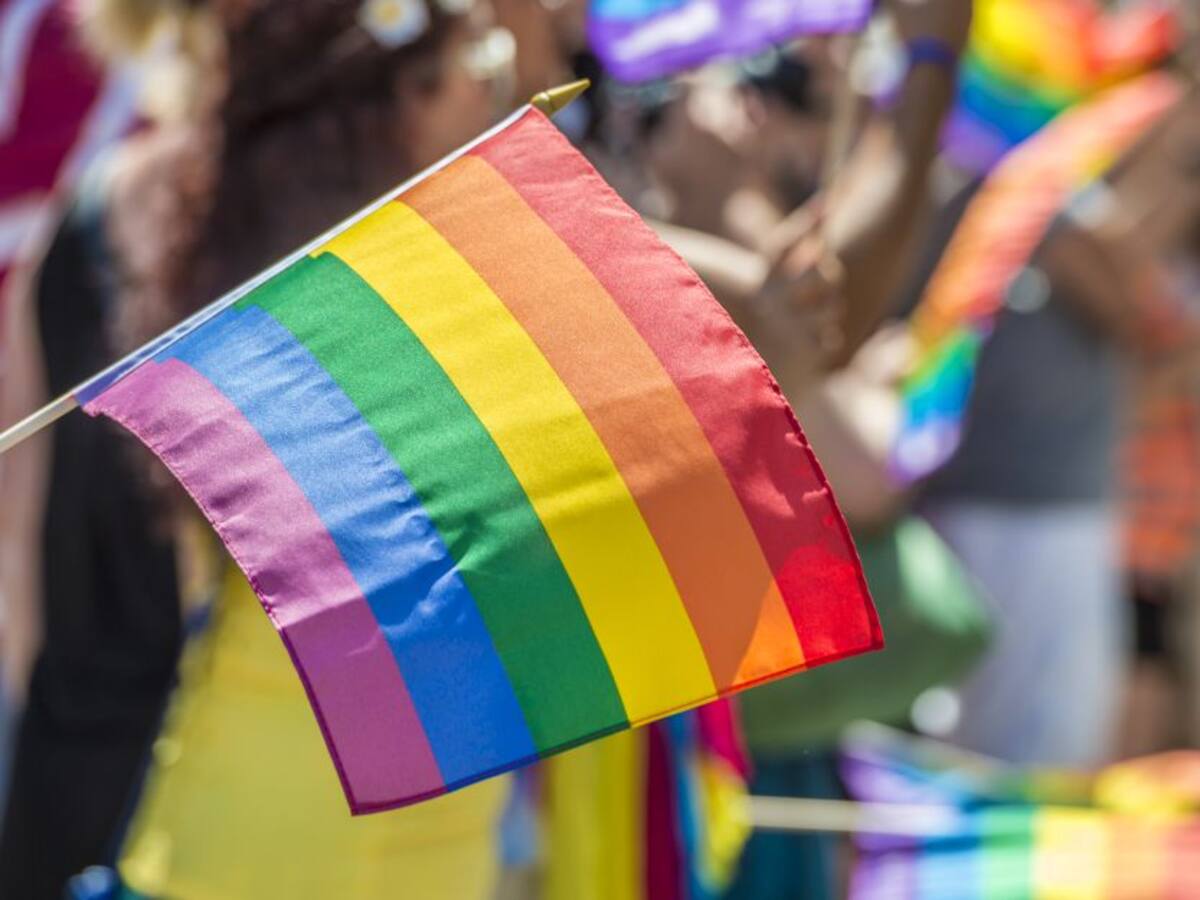 Colectivos políticos piden al Gobierno garantizar derechos LGBT