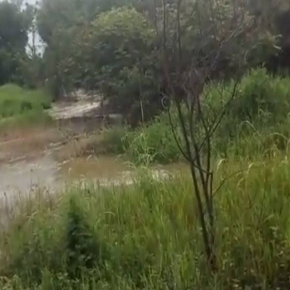 Bomberos hacen presencia en la vereda Mandivá por creciente del río Cauca