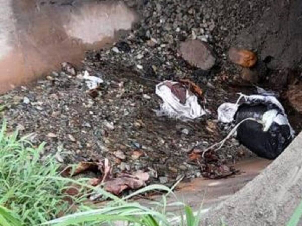 El ejército desactivó más de cien kg de explosivos en Puerto Valdivia
