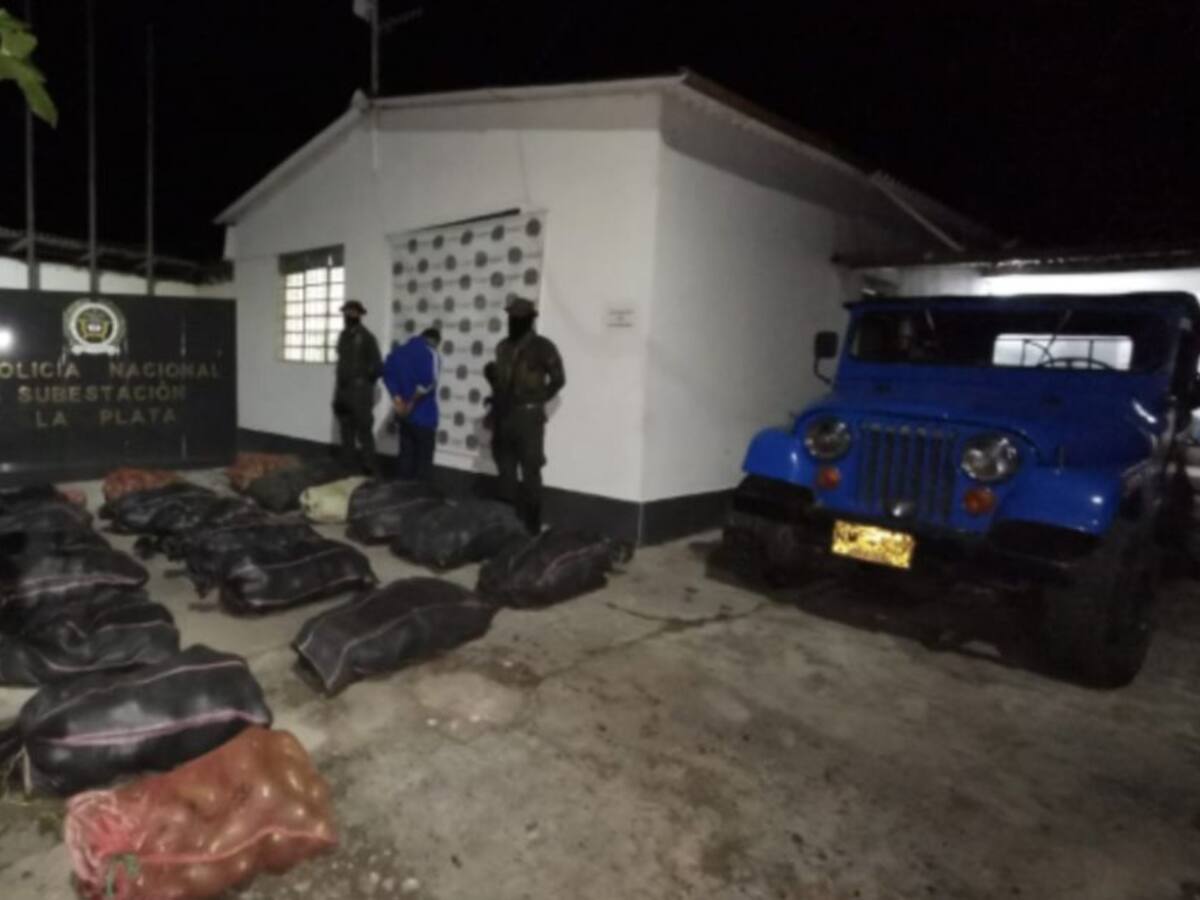 Capturan en Caldas a persona que había hurtado una tonelada de aguacates