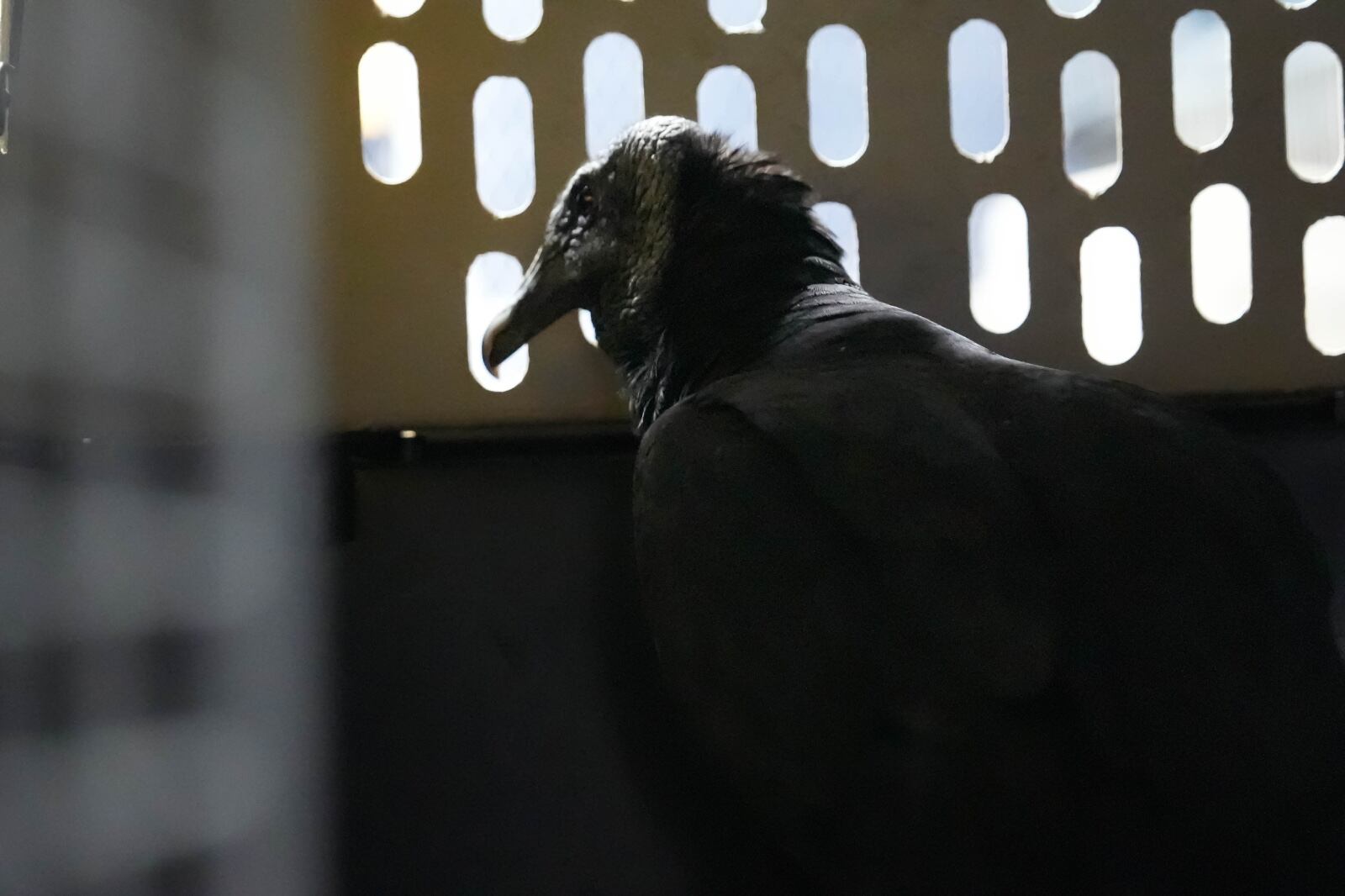 Foto: Cortesía de Corantioquia