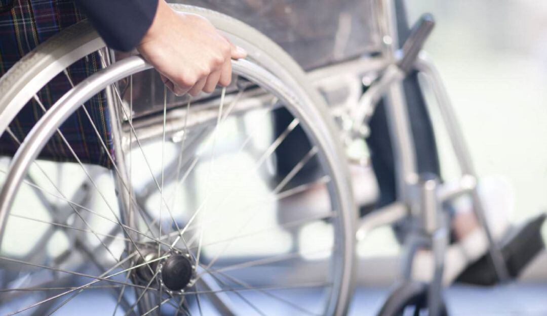 Imagen de referencia 