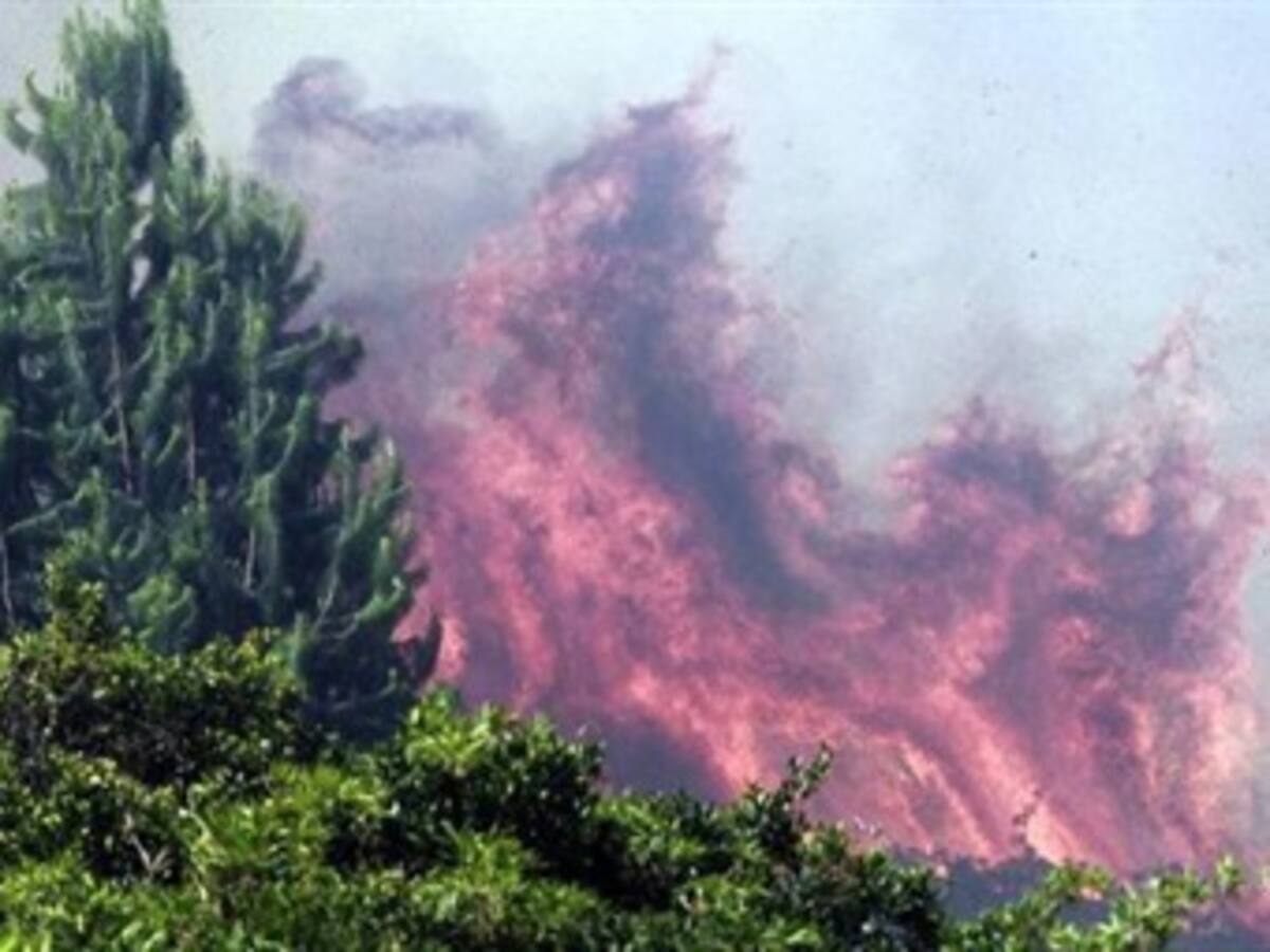 Bomberos y Fuerza Aérea luchan para controlar incendio en La Sierra Nevada