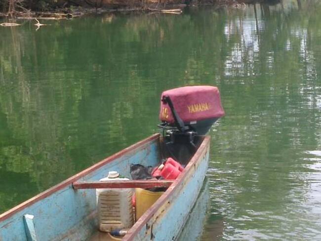 Investigan extraña mortandad de peces en el río Porce de Antioquia