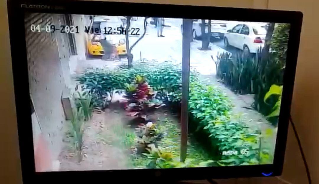 Habitantes Sotomayor