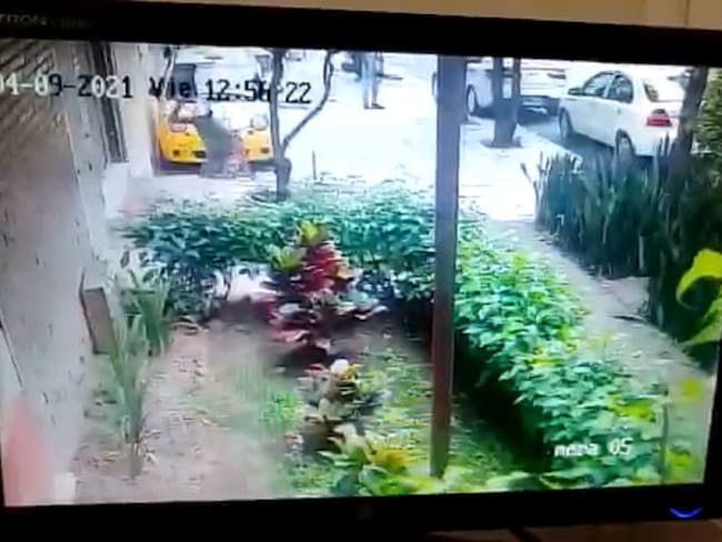 Habitantes Sotomayor