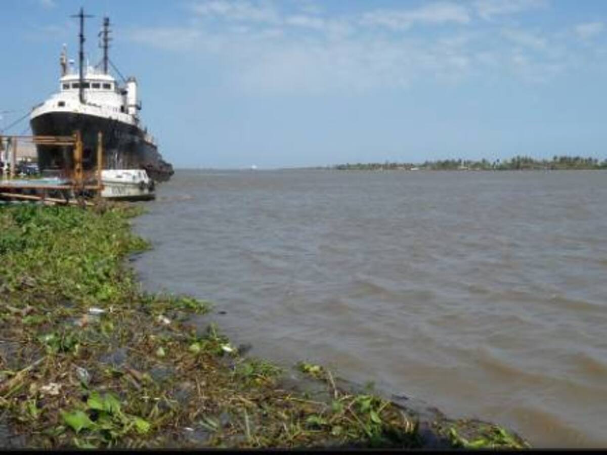 Hallan extremidades superior e inferior en lugar enmontado frente al río