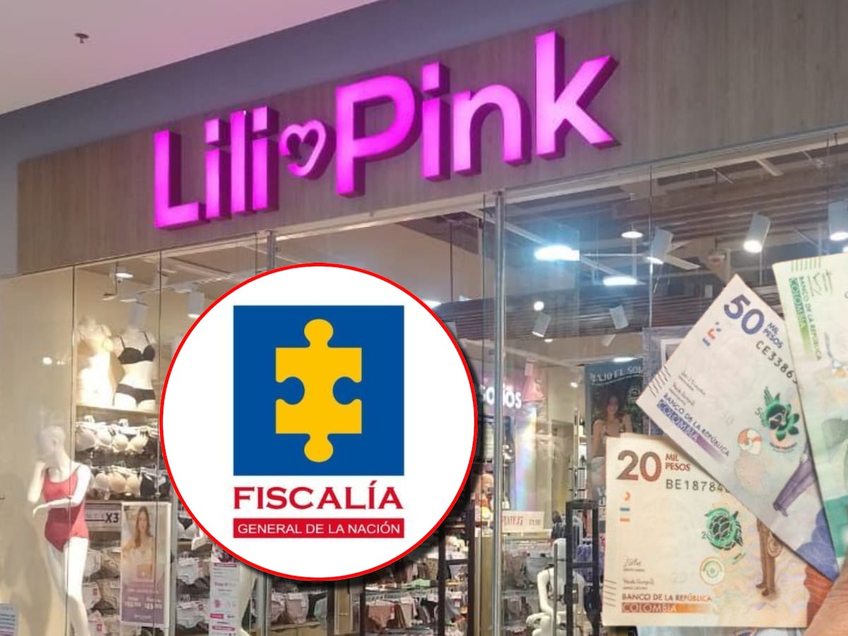 Fiscalía ocupó 45 inmuebles avaluados en más de $184.000 millones de Lili Pink