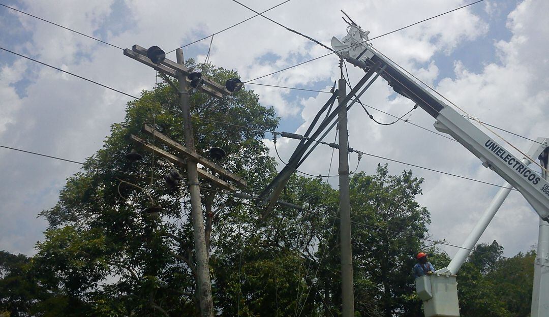 La vegetación a intervenir está en un lote privado donde las cuadrillas no han tenido el permiso respectivo