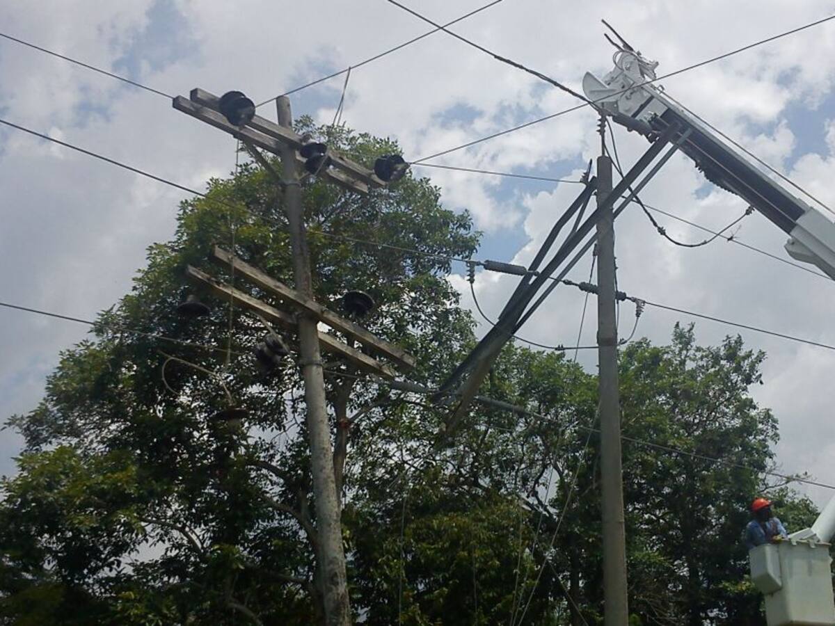 Arboles sin podar están afectando servicio de energía eléctrica a El Salado