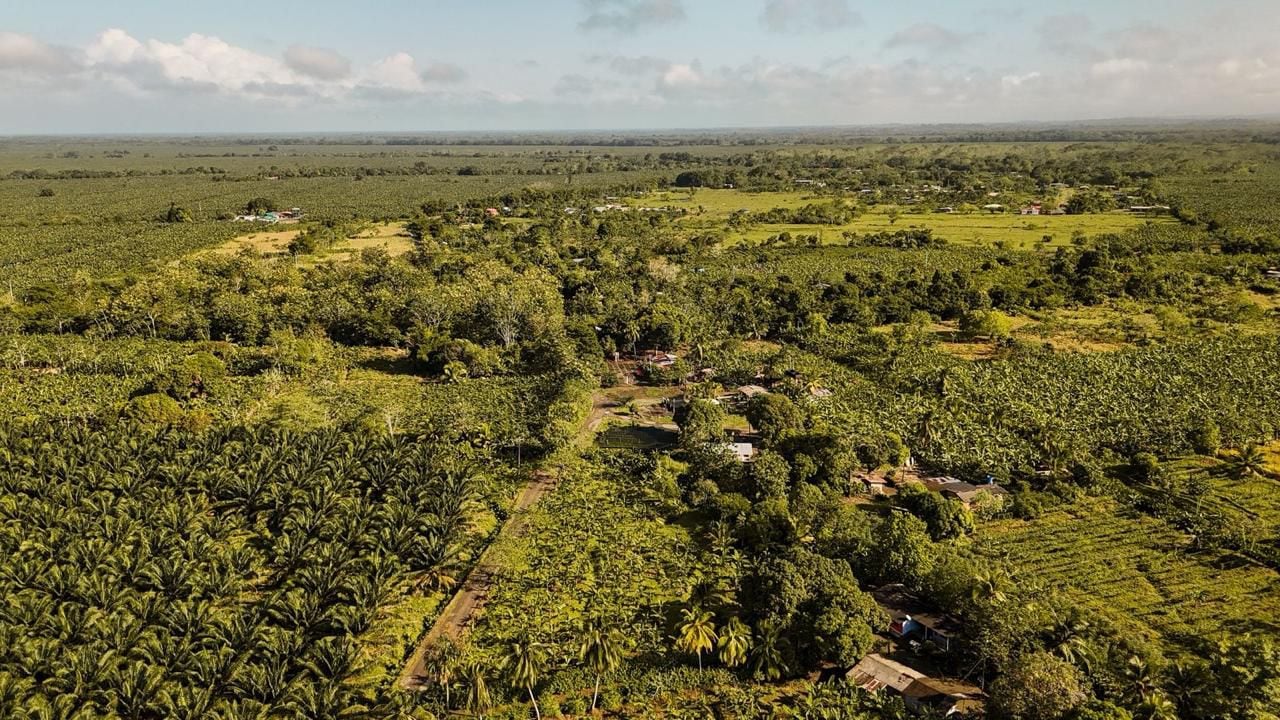 Predios ligados al paramilitarismo recuperados por la ANT en Urabá. Foto: ANT.