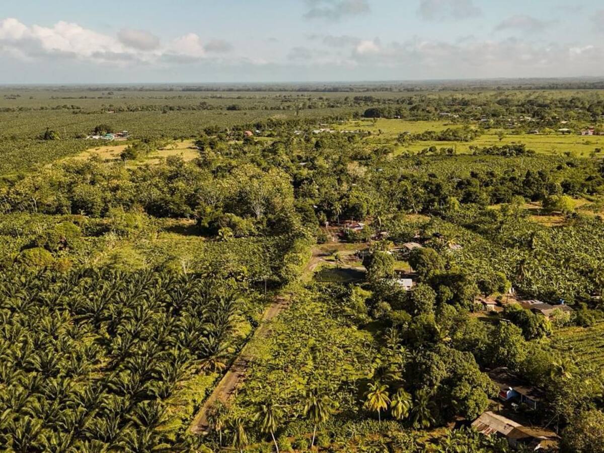 Predios de Cuco Vanoy y otras estructuras paramilitares serán entregados a víctimas en Urabá