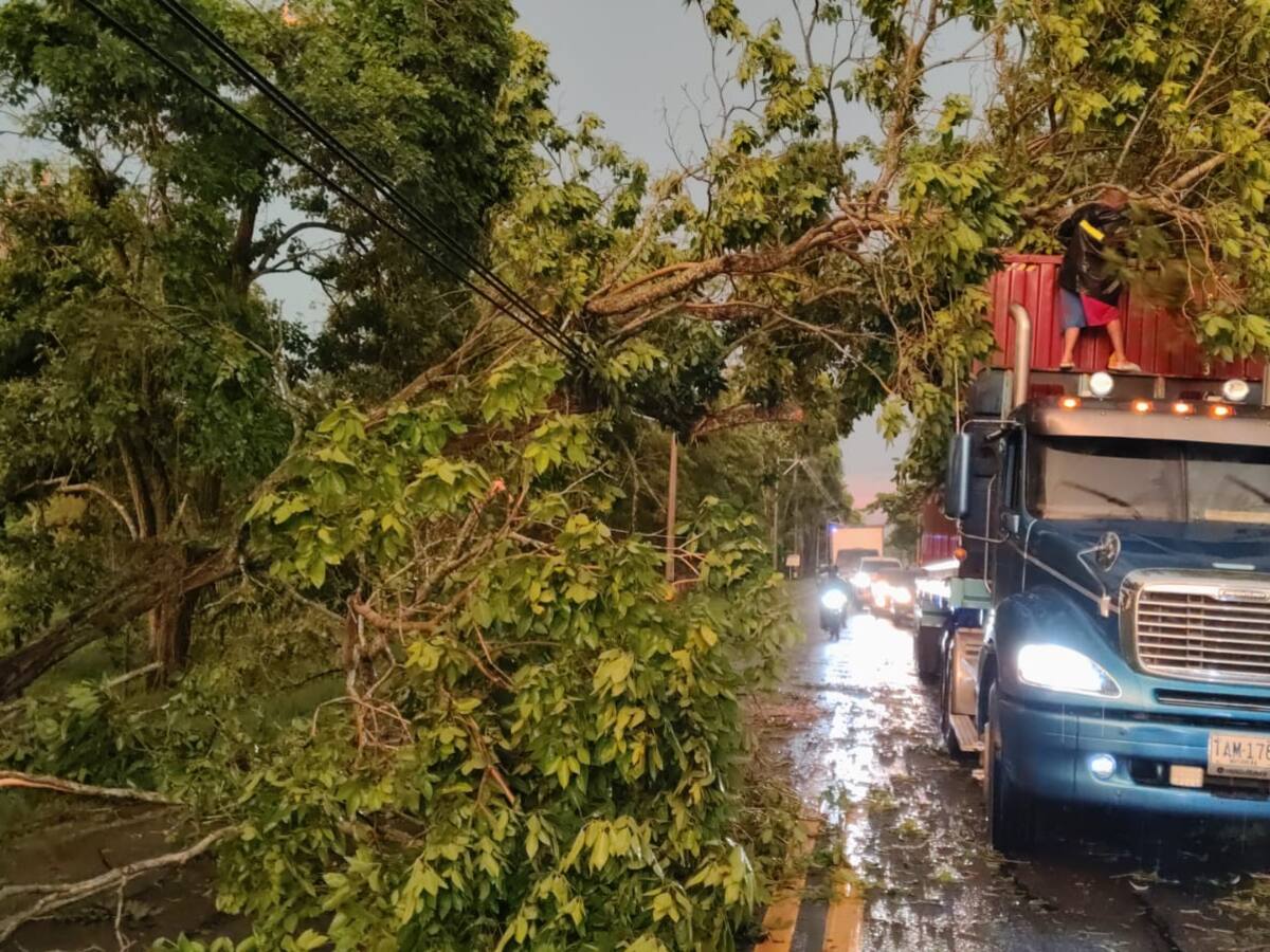 Vendaval provocó caída de árboles, casas destechadas y afectaciones en servicio de energía en Arjona
