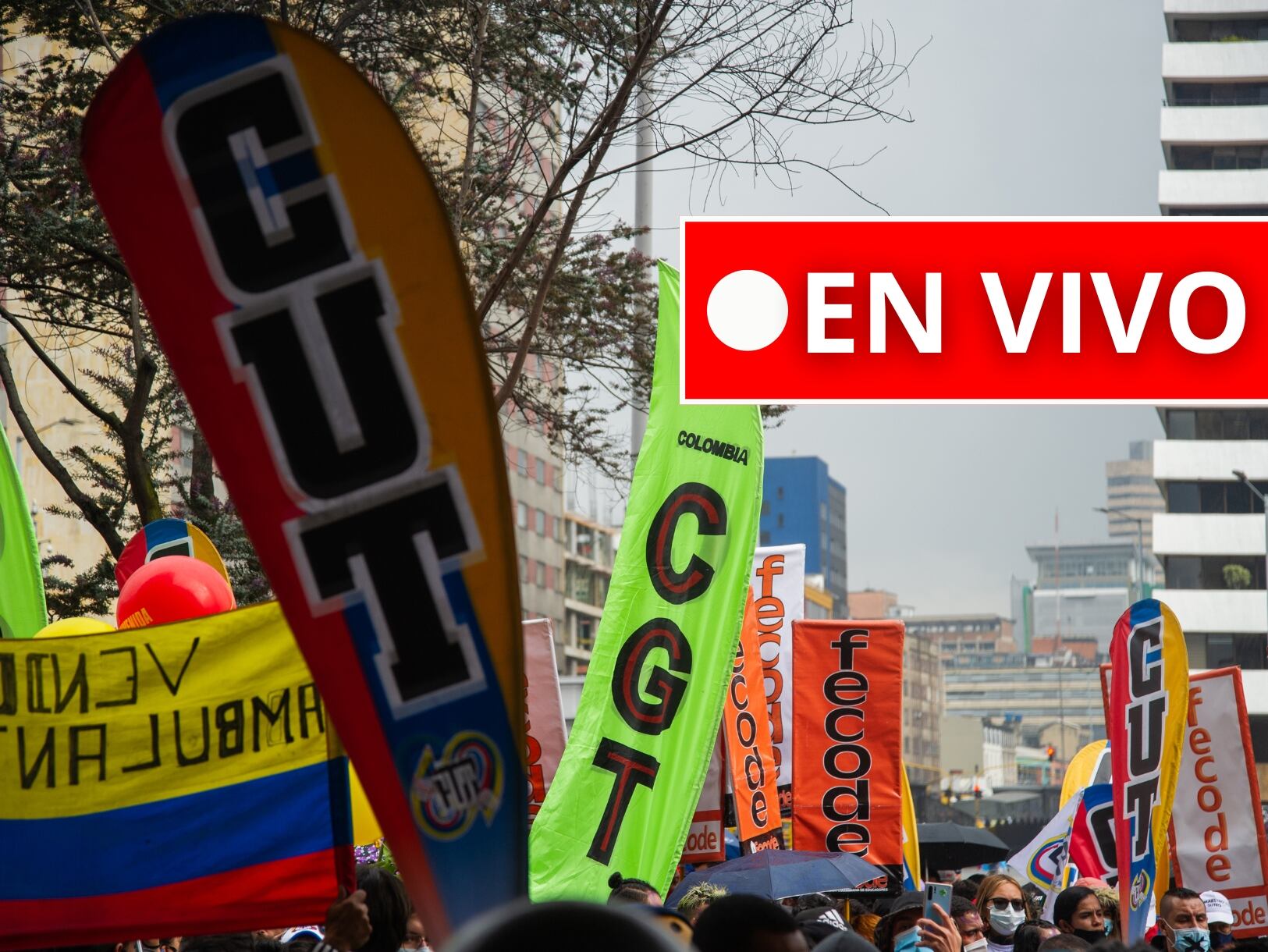 Marchas 14 de octubre hoy en vivo