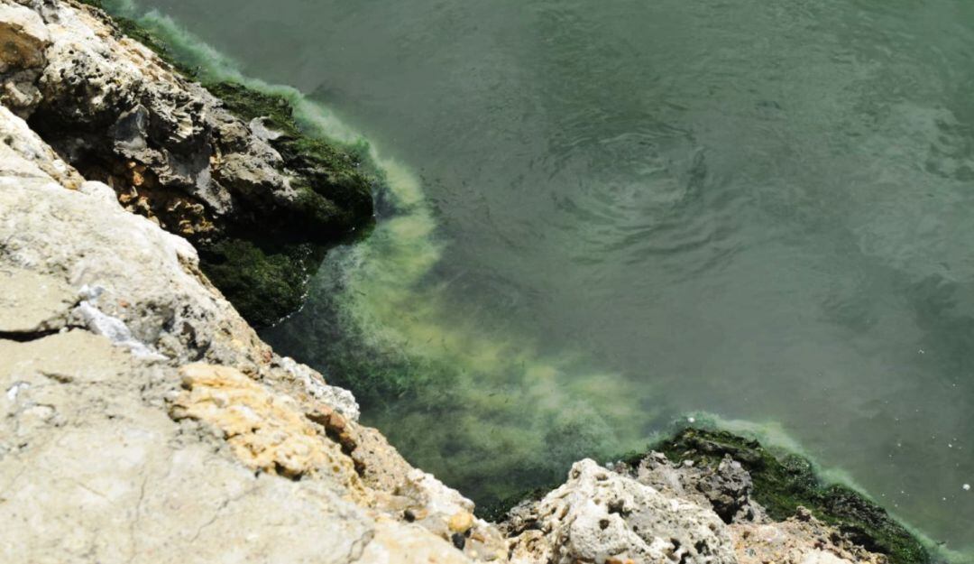 Se encontraron unos tubos que presuntamente estarían arrojando desechos contaminantes a este cuerpo de agua