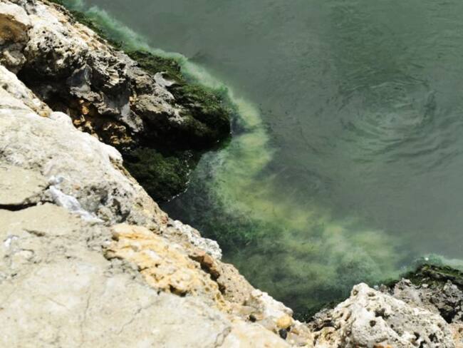 Se encontraron unos tubos que presuntamente estarían arrojando desechos contaminantes a este cuerpo de agua