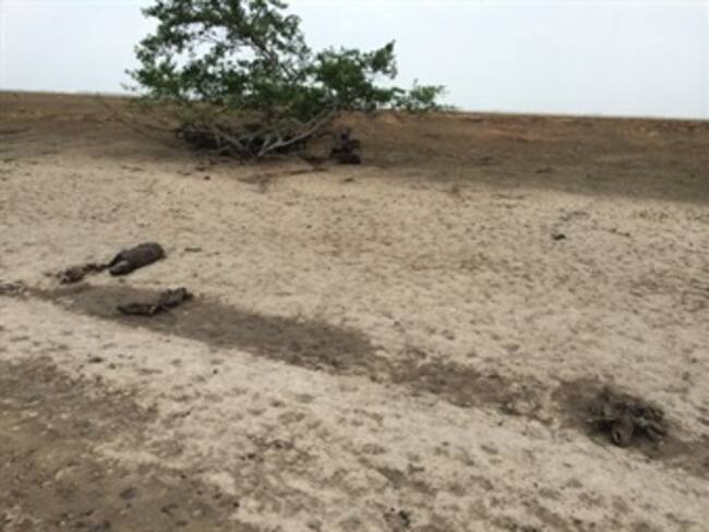 Fotogalería: Por aire y tierra Caracol Radio registra situación en Casanare