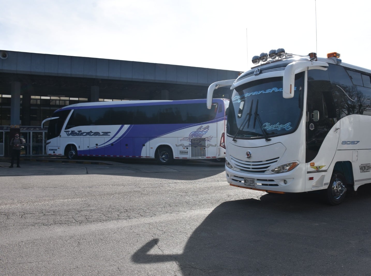 Buses Velotax | Foto: Suministrada