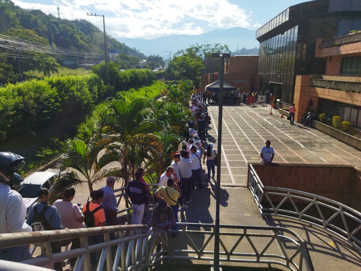 Así están las filas para cambiar la licencia de conducción en Tránsito