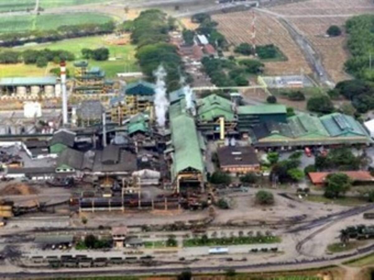 Ingenio Rio paila Castilla le apunta al etanol y a la cogeneración de energía