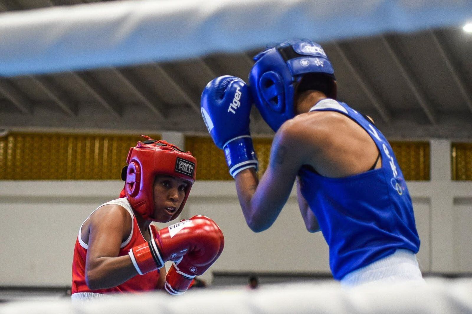 Se desarrolla en Girardot la Copa América de Boxeo 2026, la cual reúne a ocho países